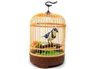 Singing Chirping Bird in Cage Realistic Sounds Movements BC507D