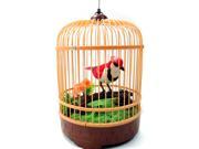 Singing Chirping Bird in Cage Realistic Sounds Movements BC507E