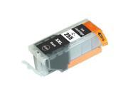 eForCity Black Ink Cartridge with New Chip For Canon PGI 255xxl