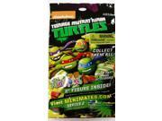 Teenage Mutant Ninja Turtles Nickelodeon Minimates 2 Mystery Pack Series 2