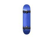 Blue Blank Stained Complete Skateboard