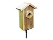 Stovall 2HV Window Viewing Nest Box with Suction Cups