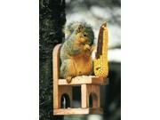 Squirrel Chair