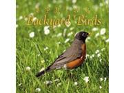 Spring Backyard Birds CD