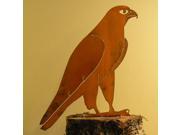 Peregrine Falcon Bird Silhouette