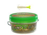 Berkley Gulp! Alive! 4 Shrimp 16 oz.; Pearl White Chartreuse PWCH