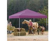 ShelterLogic 12 x12 Pro Pop Up Canopy Straight Leg with Cover in Purple