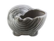 Surya Clearwater 5.71 x 9.25 Ceramic Shell in Glossy Charcoal