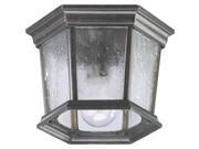 Quorum 1 Light Outdoor Flush Mount in Baltic Granite