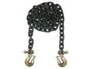 Chain 10 ft. 18100 lbs. Lockable Grabs