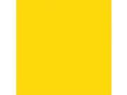 RUST OLEUM Gloss Safety Yellow Interior Exterior Paint 1 gal. 255616