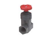 NDS Gate Valve 1 1 4 In. FNPT GVG 1250 T