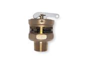 Safety Relief Valve 3 4 x 3 4 In 10 PSI