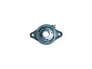 Mounted Bearing 2 Bolt Flange 2 3 16 In