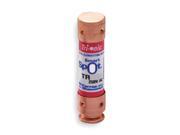 45A Time Delay Polyester Fuse with 250VAC DC Voltage Rating; TR RID Series