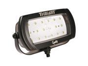 GROTE Flood Lamp Wide High Output LED 9 In 63761