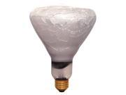 Aero Tech 120W BR40 Incandescent Light Bulb TS108