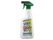 Spot and Stain Remover 22 oz. PK 6