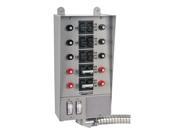 Manual Transfer Switch 60A 125 250V