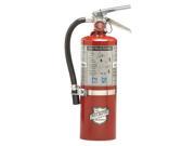 BUCKEYE 13514 FireExtinguisher 40B C 5.5lb DryChemical