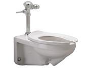 Zurn Industries Flushometer Toilet Elongated 1.28 gpf Z5615.258.00.00.00
