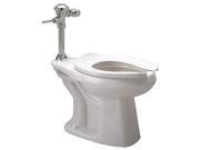 Zurn Industries Flushometer Toilet Elongated 1.28 gpf Z5655.258.00.00.00