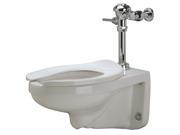 Zurn Industries Flushometer Toilet Elongated 1.28 gpf Z5616.258.00.00.00