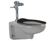 Zurn Industries Flushometer Toilet Elongated 1.28 1.6 gpf Z5615.001.01.00.00