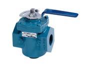 Plug Valve Lever Operated Handle FNPT Val Matic 5802RTL