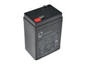 RICE LAKE 108516 Rechargeable Battery 4 In. L 3 In. W