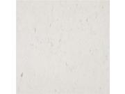 Congoleum Stark White Vct Tile AL116181