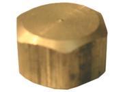 LARSEN SUPPLY 5 8 Brass Comp Cap 17 6189