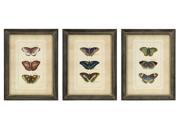 Set of 3 Butterfly Collection Wall Art