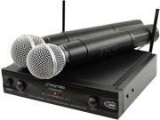 Wireless Dual Channel UHF Microphone System With 2 Microphones