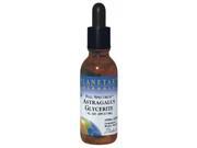 Planetary Herbals Full Spectrum Astragalus Glycerite Mineral Supplement 2 Fluid Ounce