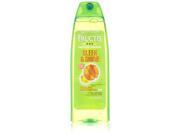 Fructis Sleek and Shine Fortifying Shampoo 13 oz Shampoo