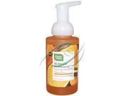 Foaming Hand Soap Orange Vanilla CleanWell 9.5 oz Liquid