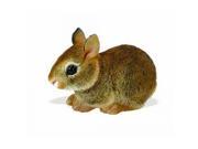 Safari Ltd. Eastern Cottontail Rabbit Baby