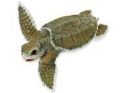 Kemp s Ridley Sea Turtle Baby by Safari LTD