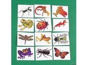 Nature Temporary Tattoos Insects and Reptiles 6 dz