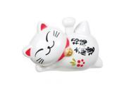 Solar Power Motion Toy Lucky Cat