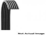 Dayco Serpentine Belt 5081145 Dayco Serpentine Belt 5081145