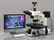 50X 2500X B D Polarizing Metallurgical Microscope 5MP Camera Win Mac