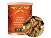 Exo Terra Mealworms 1.2 oz