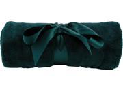Cozy Plush Throw Blanket Edges Fold Double Needle an appreciated gift Green