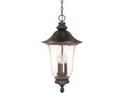Nuvo Parisian 3 Light 24 inch Hanging Lantern w Fluted Seed Glass