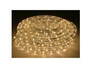 Warm White 2700 Kelvin 30 Foot LED Flexible Rope Light Kit with Mounting Clips