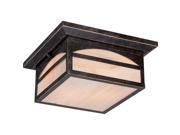 Canyon 2 LT Outdoor Flush Fixture w Honey Stained Glass