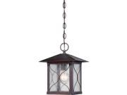 Vega 1 LT Outdoor Hanging Fixture w Clear Seed Glass