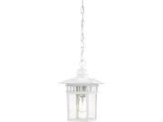 Cove Neck 1 Light 12 Outdoor Hang W Clear Seed Glass